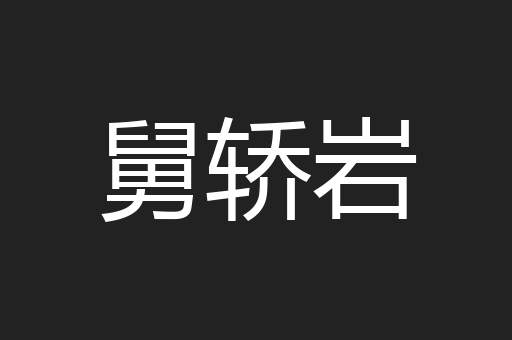 舅轿岩