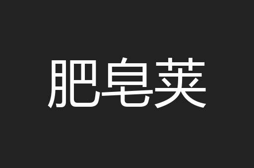 肥皂荚