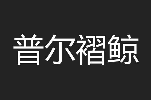 普尔褶鲸