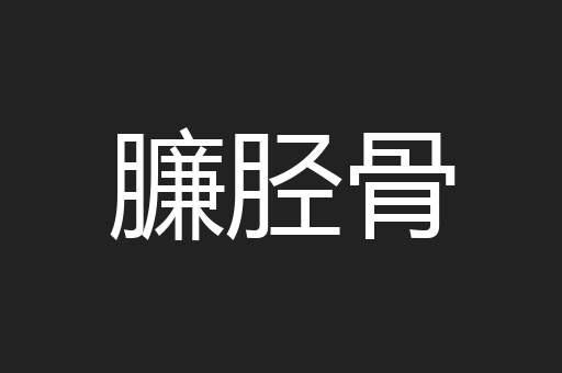 臁胫骨