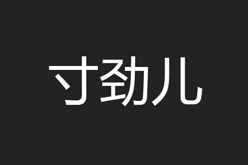 寸劲儿