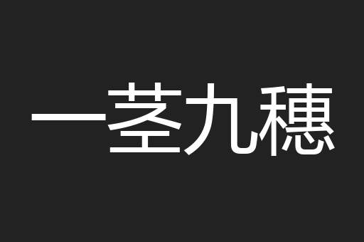 一茎九穗