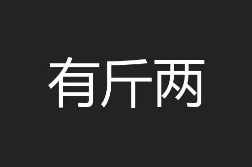 有斤两