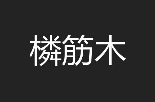橉筋木