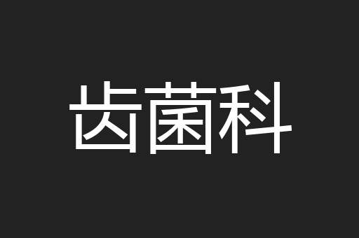 齿菌科
