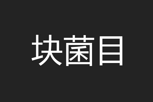 块菌目