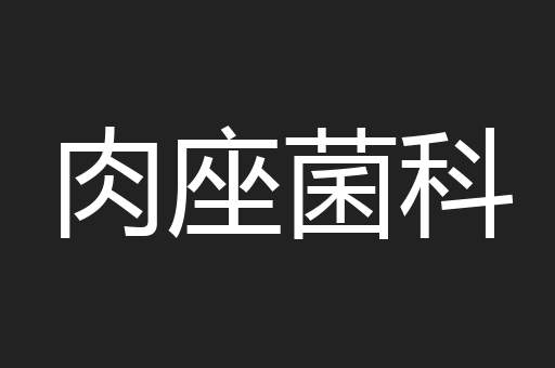 肉座菌科