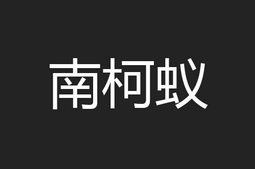 南柯蚁