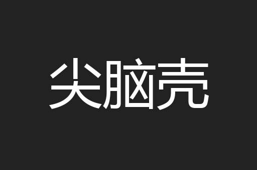 尖脑壳