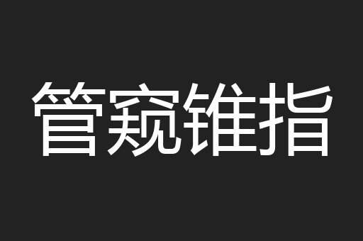 管窥锥指