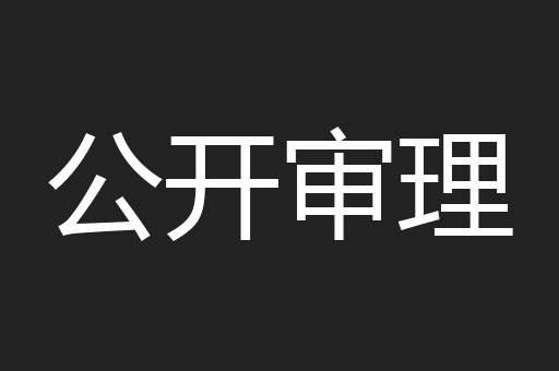 公开审理