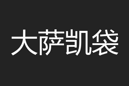 大萨凯袋