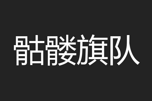 骷髅旗队