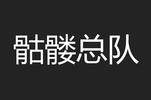 骷髅总队