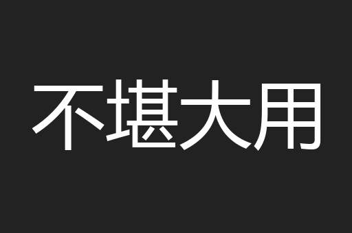 不堪大用