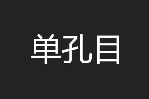 单孔目