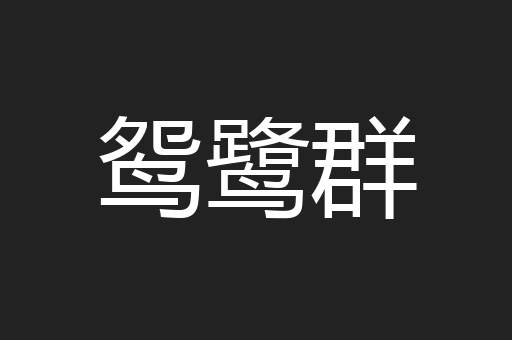 鸳鹭群