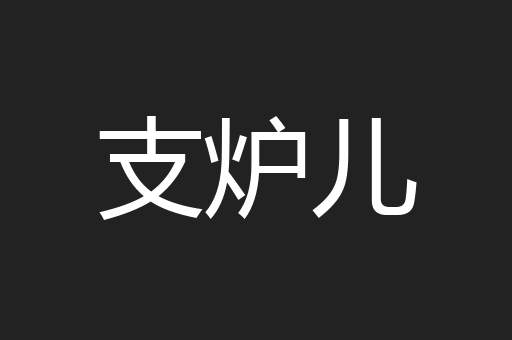 支炉儿