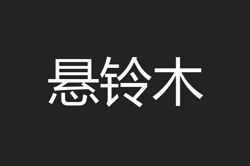 悬铃木