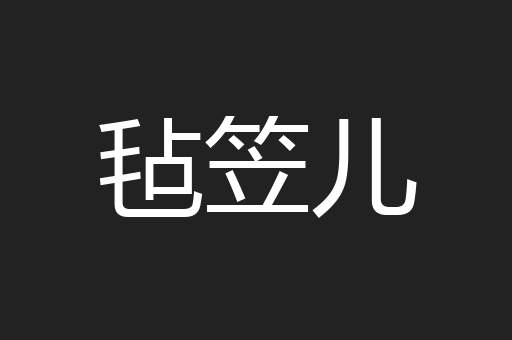 毡笠儿