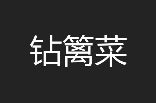 钻篱菜