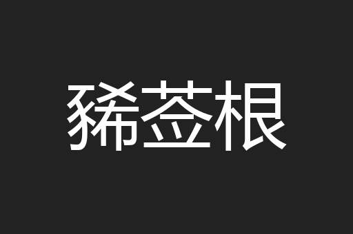 豨莶根