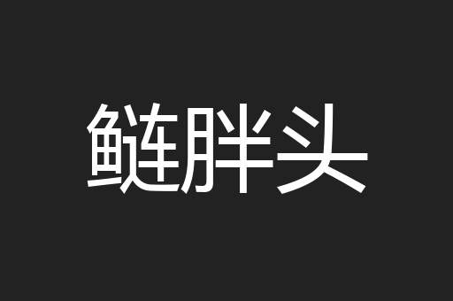 鲢胖头