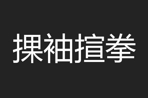 捰袖揎拳