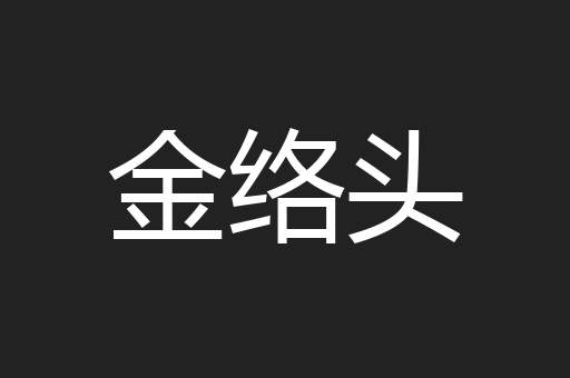 金络头