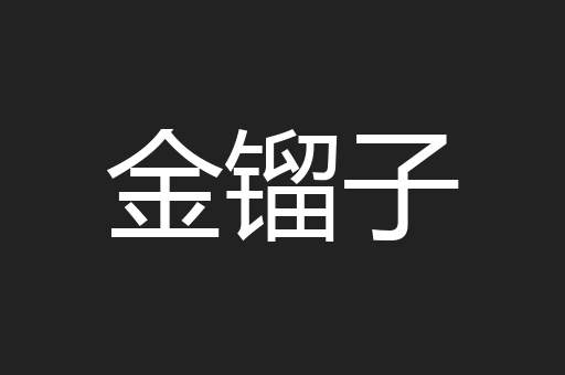 金镏子