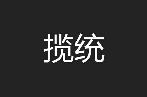 揽统
