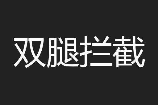 双腿拦截