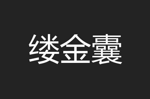 缕金囊