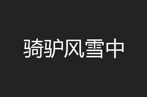 骑驴风雪中