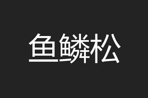 鱼鳞松