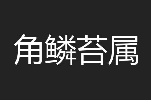 角鳞苔属