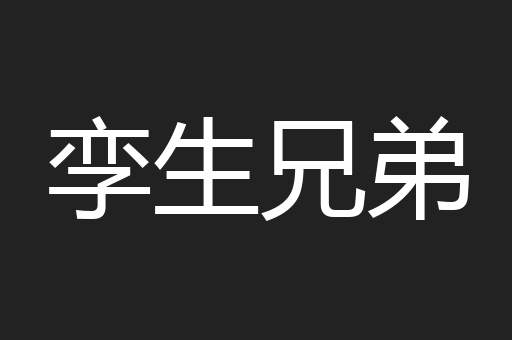 孪生兄弟