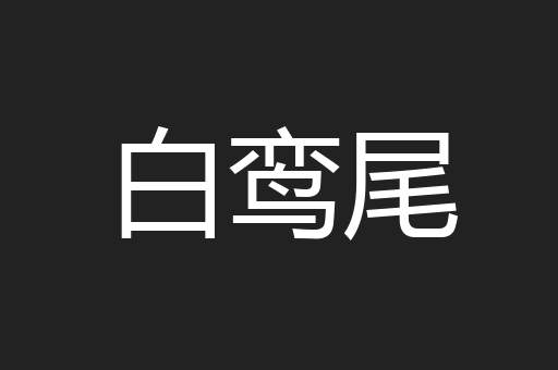 白鸾尾