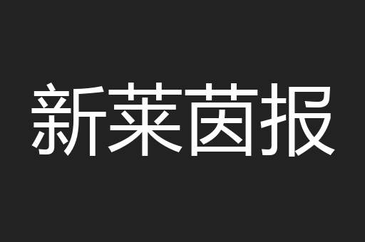 新莱茵报