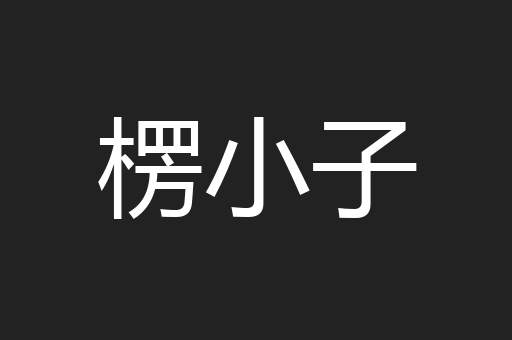 楞小子