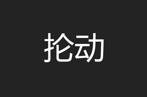 抡动