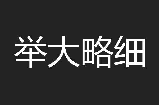 举大略细