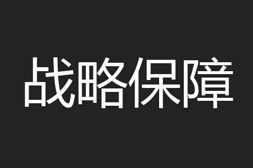 战略保障