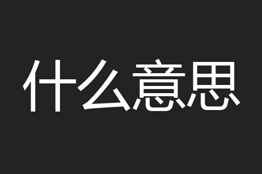什么意思
