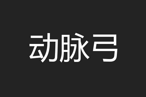 动脉弓