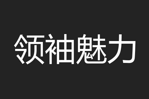 领袖魅力