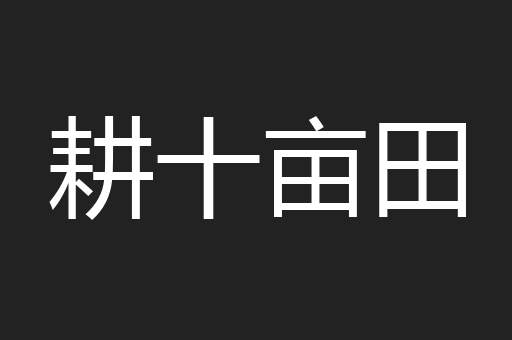 耕十亩田