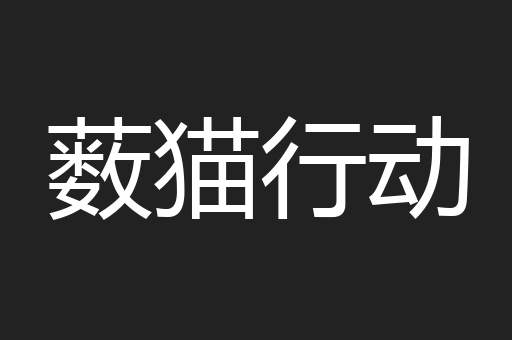 薮猫行动