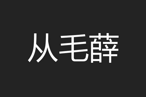 从毛薛
