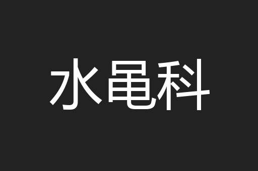 水黾科